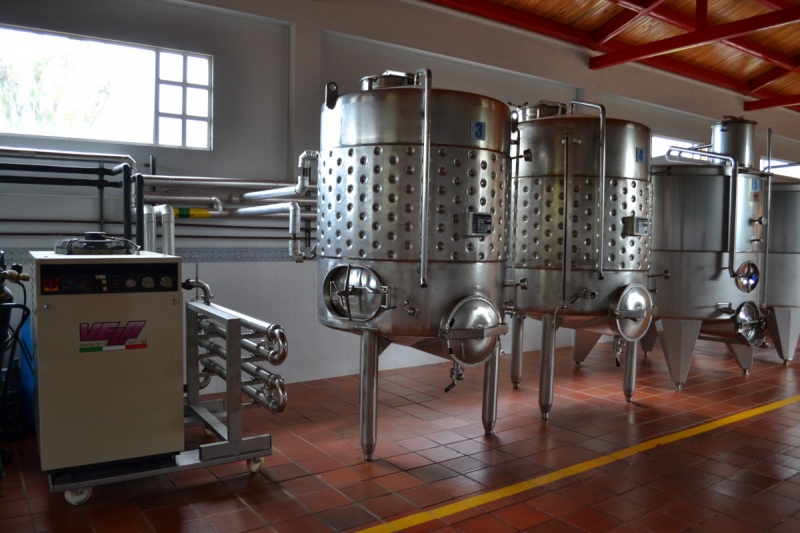 cave-CAILLE-min_wine_production_cantine_winery_drink_alcohol_vine_beverage-902036